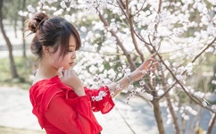 2020精品国色卡一卡二